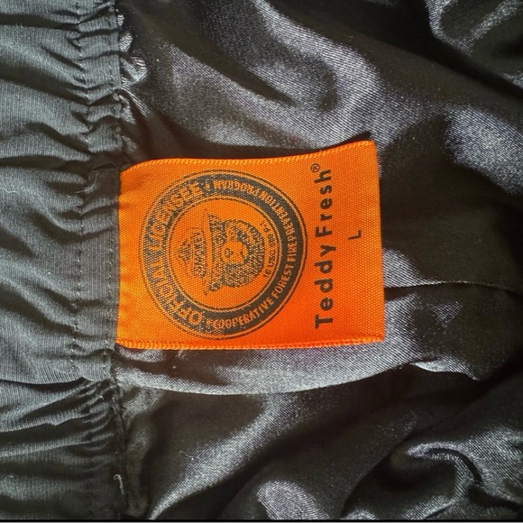 RARE Teddy Fresh x Smokey Bear Collab “Only You” Unisex Cargo Pants MENS L - Picture 3 of 4